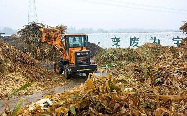 鋸末顆粒機(jī)原料.jpg
