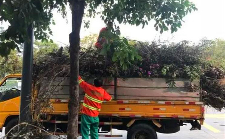 園林綠化廢棄物再利用，南京棲霞年處理量超3萬噸.jpg