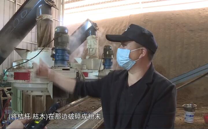將桔桿、枯木在那邊破碎成粉末，然后經(jīng)過(guò)這兩個(gè)造粒機(jī)的碾壓，形成這種顆粒燃料出來(lái)，形成最后的產(chǎn)品.jpg