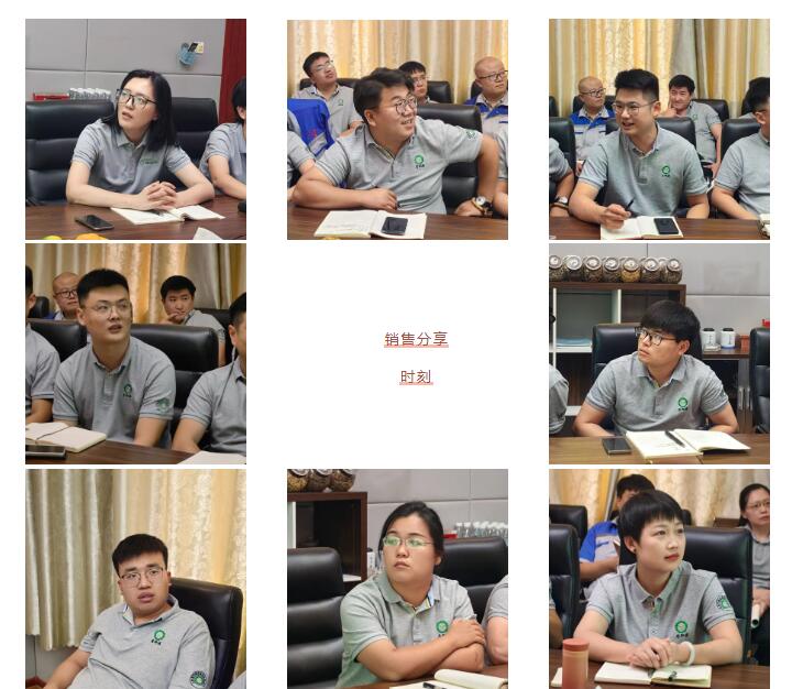 銷售精英們結(jié)合自己特點進行工作匯報。.jpg